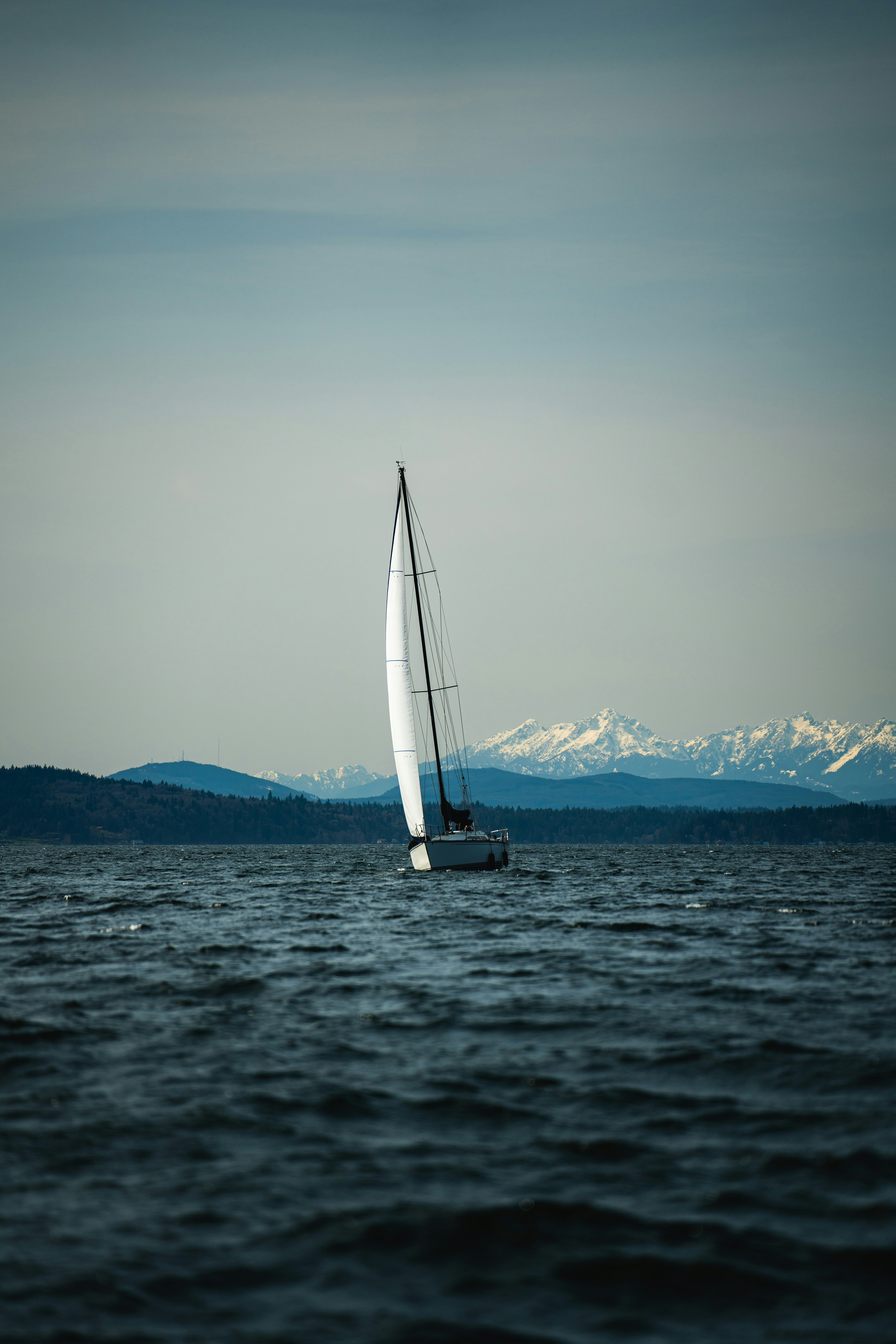 Monocoque sailing with mountains in background